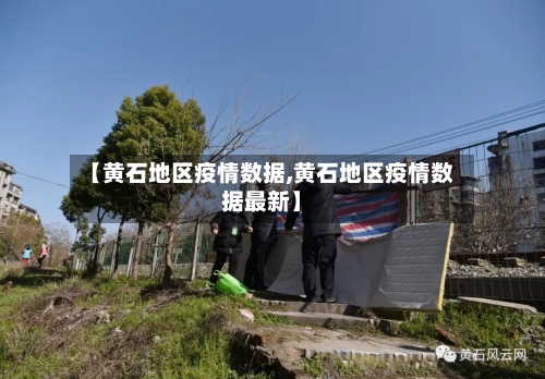 【黄石地区疫情数据,黄石地区疫情数据最新】