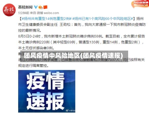 团风疫情中风险地区(团风疫情速报)-第2张图片
