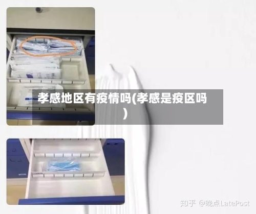 孝感地区有疫情吗(孝感是疫区吗)