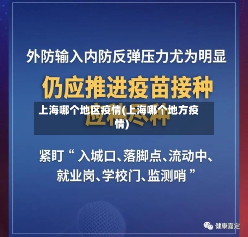 上海哪个地区疫情(上海哪个地方疫情)-第2张图片