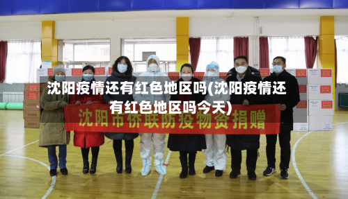 沈阳疫情还有红色地区吗(沈阳疫情还有红色地区吗今天)