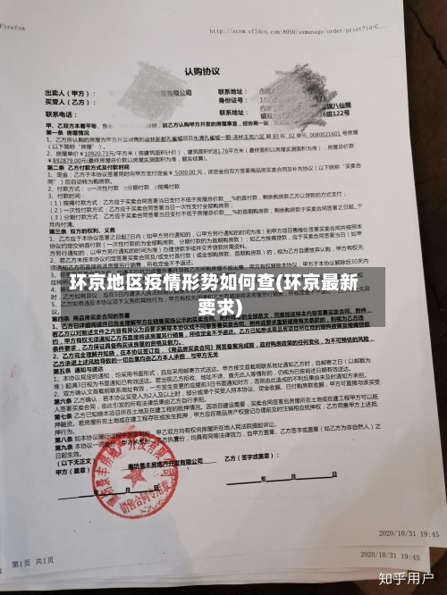 环京地区疫情形势如何查(环京最新要求)-第3张图片