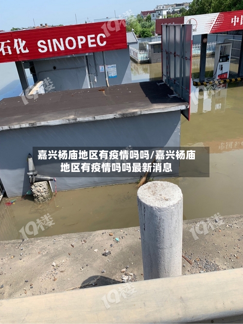 嘉兴杨庙地区有疫情吗吗/嘉兴杨庙地区有疫情吗吗最新消息