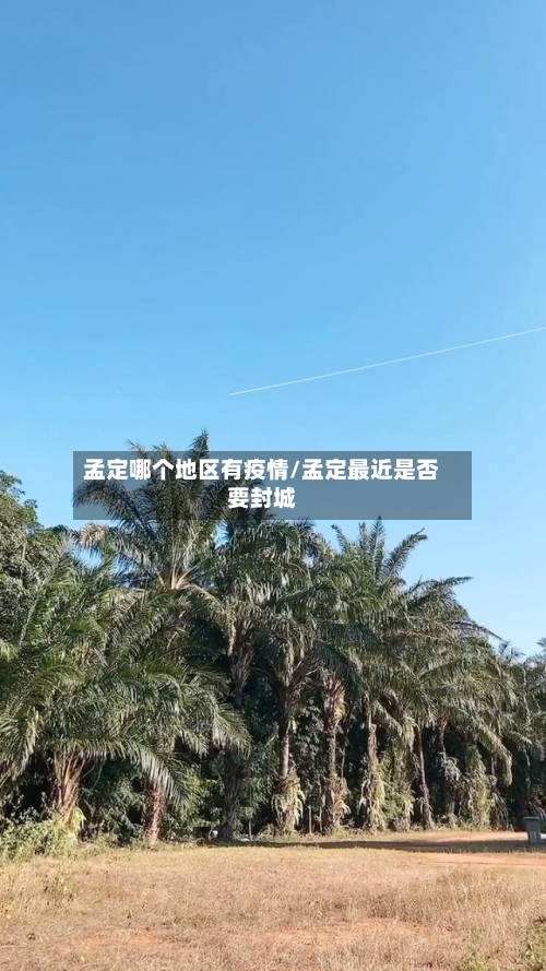 孟定哪个地区有疫情/孟定最近是否要封城
