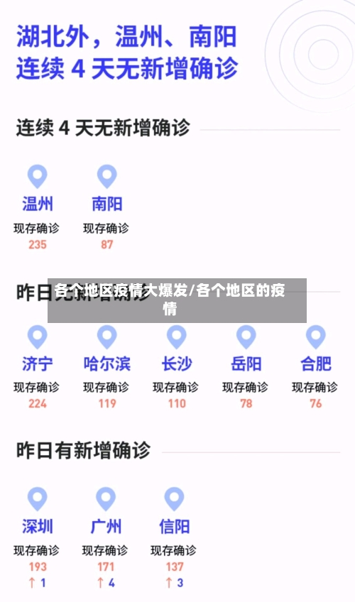 各个地区疫情大爆发/各个地区的疫情