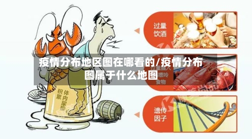 疫情分布地区图在哪看的/疫情分布图属于什么地图-第2张图片