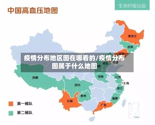 疫情分布地区图在哪看的/疫情分布图属于什么地图