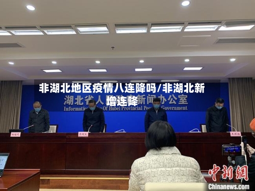 非湖北地区疫情八连降吗/非湖北新增连降