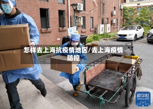 怎样去上海抗疫情地区/去上海疫情防控