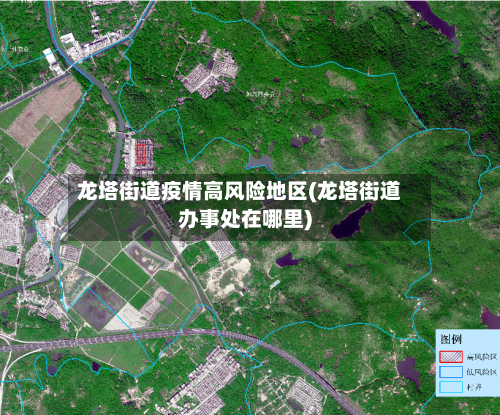 龙塔街道疫情高风险地区(龙塔街道办事处在哪里)