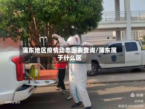 蒲东地区疫情动态图表查询/蒲东属于什么区