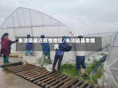 朱泾镇最近疫情地区/朱泾镇基本情况