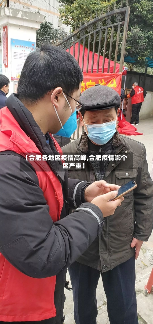 【合肥各地区疫情高峰,合肥疫情哪个区严重】-第2张图片
