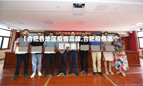 【合肥各地区疫情高峰,合肥疫情哪个区严重】