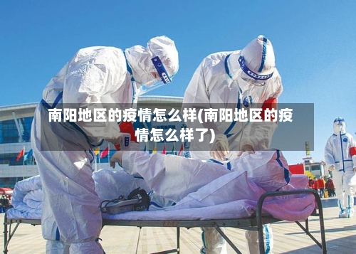 南阳地区的疫情怎么样(南阳地区的疫情怎么样了)-第3张图片