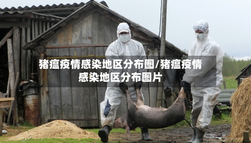 猪瘟疫情感染地区分布图/猪瘟疫情感染地区分布图片-第2张图片