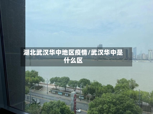 湖北武汉华中地区疫情/武汉华中是什么区