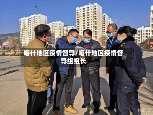 喀什地区疫情督导/喀什地区疫情督导组组长