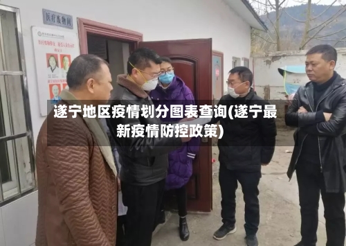 遂宁地区疫情划分图表查询(遂宁最新疫情防控政策)-第3张图片