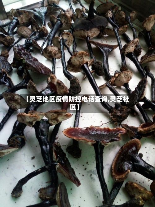 【灵芝地区疫情防控电话查询,灵芝社区】