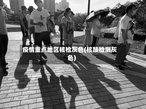 疫情重点地区核检灰色(核酸检测灰色)