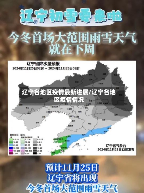 辽宁各地区疫情最新进展/辽宁各地区疫情情况