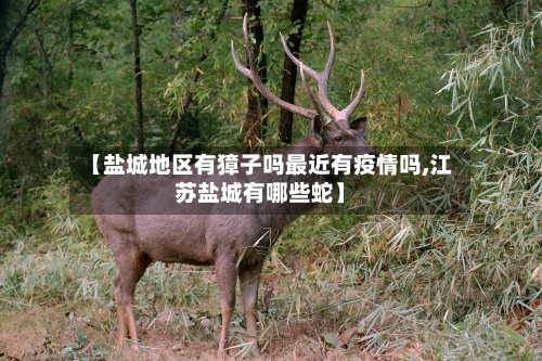 【盐城地区有獐子吗最近有疫情吗,江苏盐城有哪些蛇】
