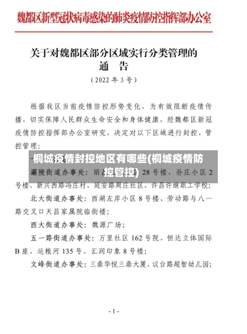桐城疫情封控地区有哪些(桐城疫情防控管控)-第2张图片