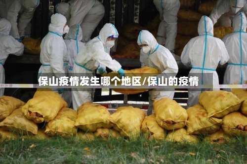 保山疫情发生哪个地区/保山的疫情