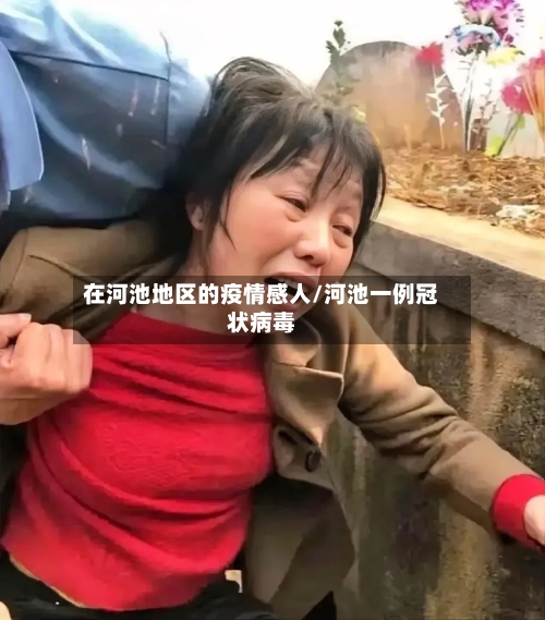 在河池地区的疫情感人/河池一例冠状病毒-第2张图片