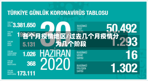 各个月疫情地区/过去几个月疫情分为几个阶段