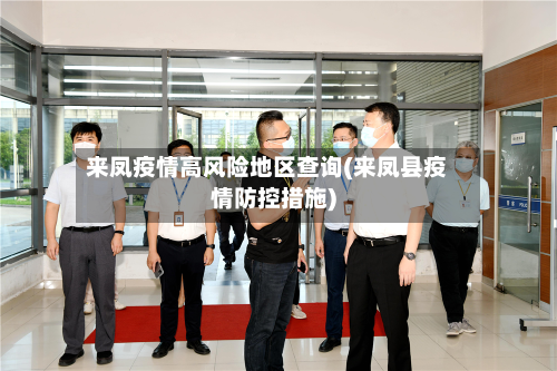 来凤疫情高风险地区查询(来凤县疫情防控措施)-第2张图片