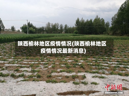 陕西榆林地区疫情情况(陕西榆林地区疫情情况最新消息)-第2张图片