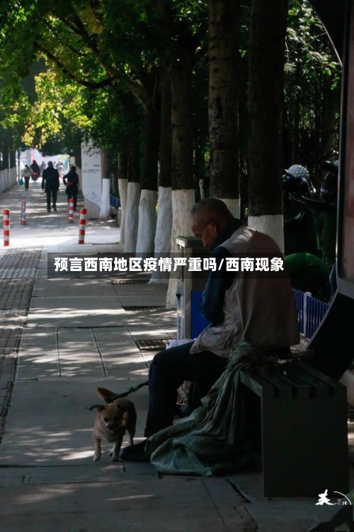 预言西南地区疫情严重吗/西南现象