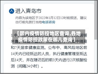 【国内疫情防控地区查询,各地疫情防控政策在哪儿查询】