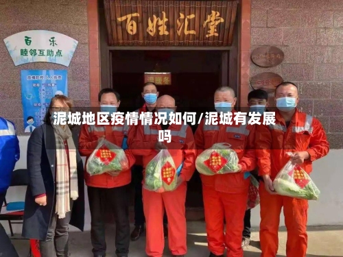 泥城地区疫情情况如何/泥城有发展吗-第3张图片