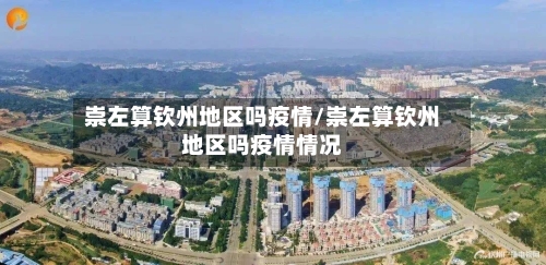 崇左算钦州地区吗疫情/崇左算钦州地区吗疫情情况-第3张图片