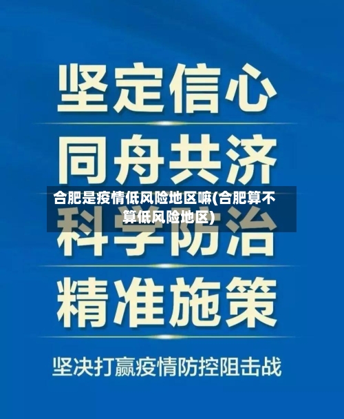 合肥是疫情低风险地区嘛(合肥算不算低风险地区)-第2张图片