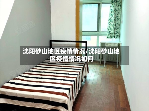 沈阳砂山地区疫情情况/沈阳砂山地区疫情情况如何-第2张图片