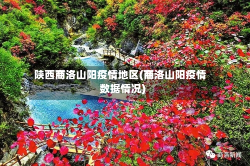 陕西商洛山阳疫情地区(商洛山阳疫情数据情况)-第2张图片