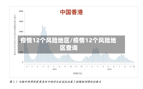 疫情12个风险地区/疫情12个风险地区查询-第2张图片