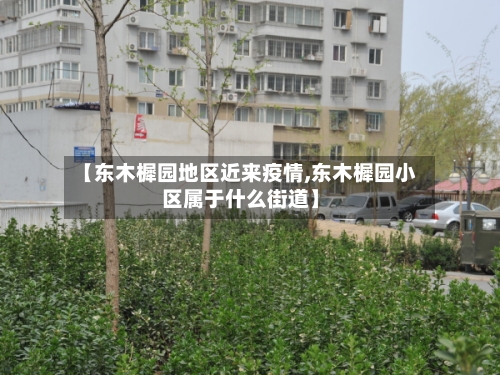 【东木樨园地区近来疫情,东木樨园小区属于什么街道】-第2张图片