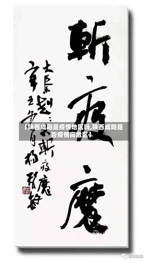 【陕西咸阳是疫情地区吗,陕西咸阳是否疫情高危区】