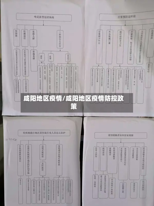 咸阳地区疫情/咸阳地区疫情防控政策