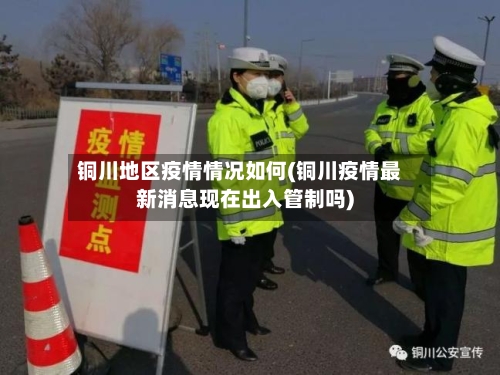 铜川地区疫情情况如何(铜川疫情最新消息现在出入管制吗)-第2张图片