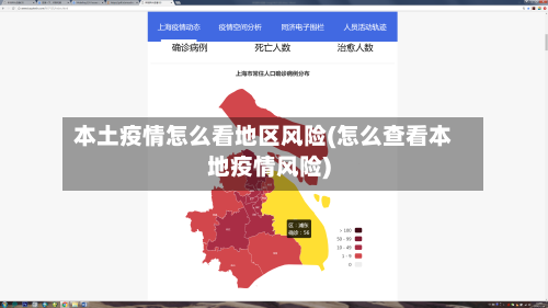 本土疫情怎么看地区风险(怎么查看本地疫情风险)-第2张图片