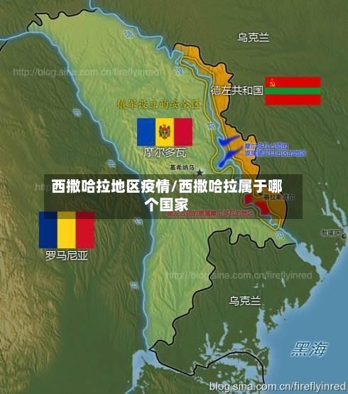 西撒哈拉地区疫情/西撒哈拉属于哪个国家