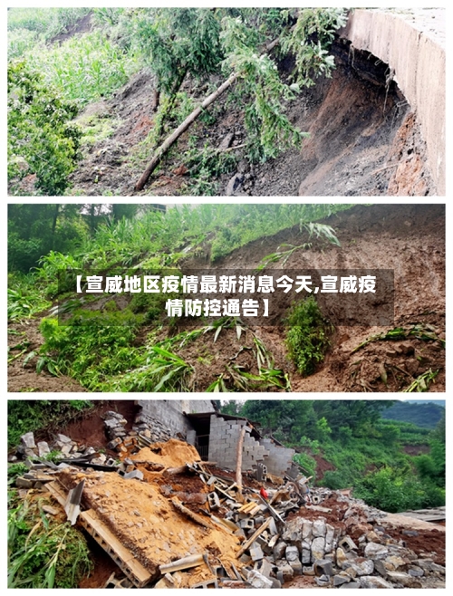 【宣威地区疫情最新消息今天,宣威疫情防控通告】