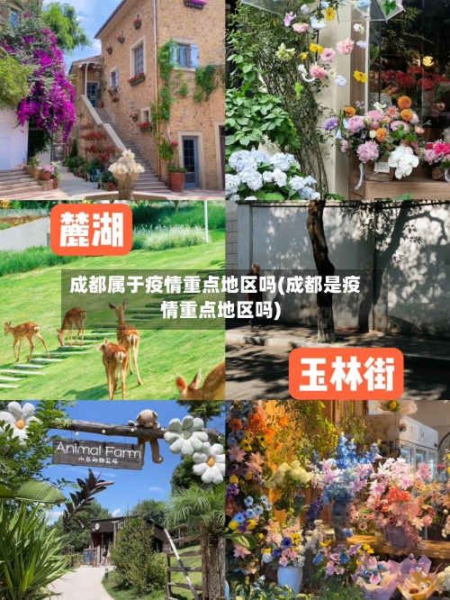 成都属于疫情重点地区吗(成都是疫情重点地区吗)-第2张图片
