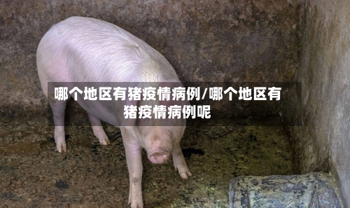 哪个地区有猪疫情病例/哪个地区有猪疫情病例呢-第3张图片